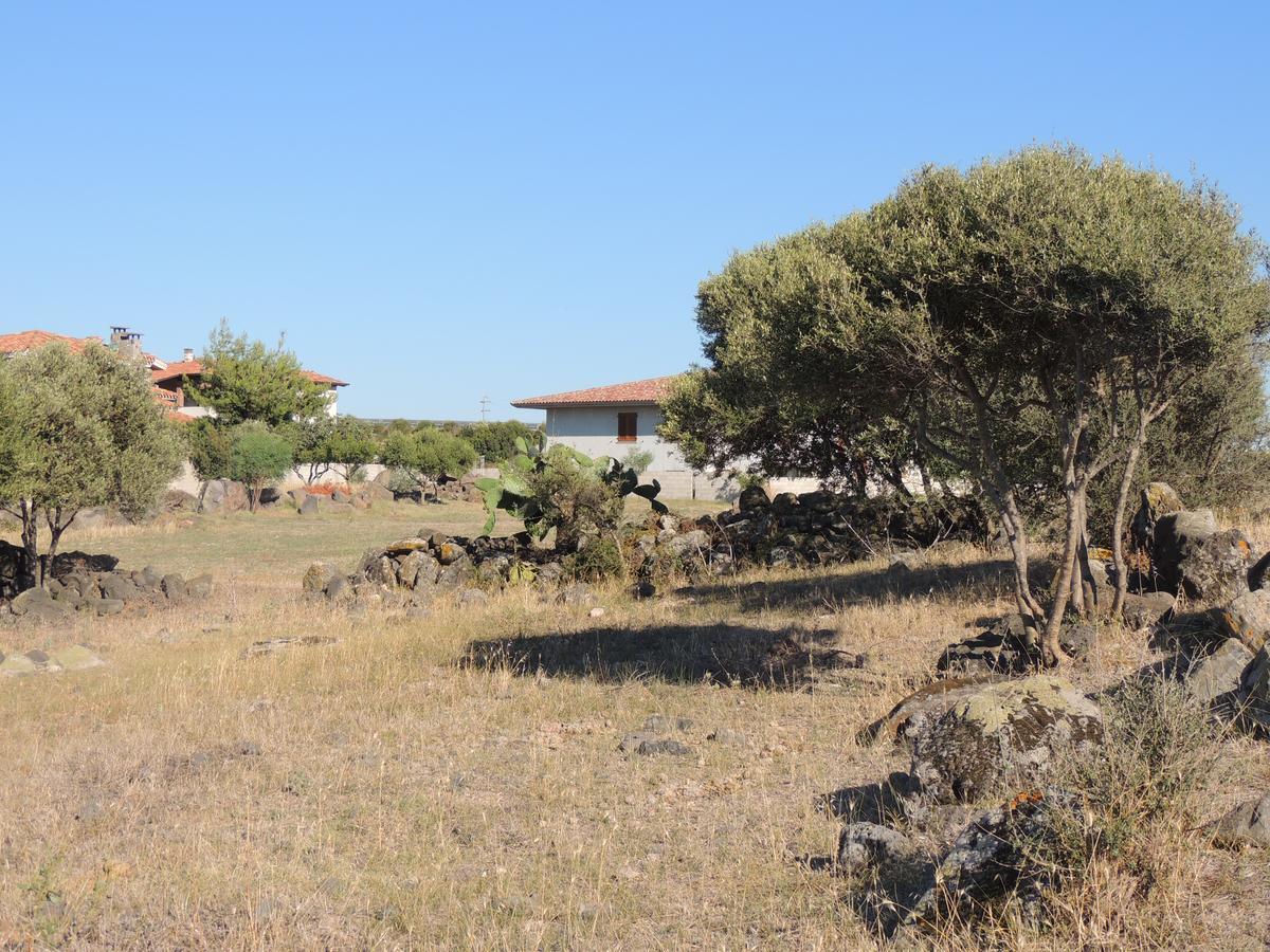 Il Nuraghe Bed & Breakfast Uras Luaran gambar